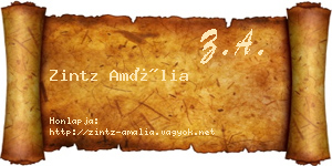 Zintz Amália névjegykártya
